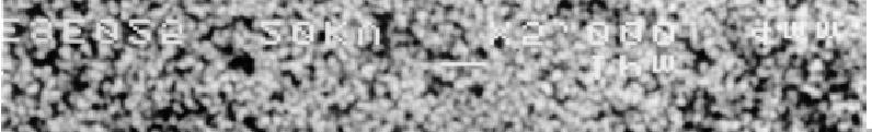 Myndin er tekin í rafeindasmásjá 1995, myndbreidd samsvarar 19 µm af sýninu. Figure 2.