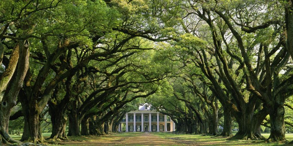 Southern Wonders 11 DAYS / 10 NIGHTS A GREAT INTRODUCTION INTO THE DEEP SOUTH OF THE UNITED STATES WHAT TO EXPECT ATLANTA > SAVANNAH > CHARLESTON > BOONE HALL PLANTATION > GREAT SMOKY MOUNTAINS >