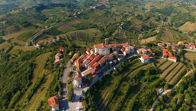 The village offers spectacular views of the surrounding hills, scattered by villages and white churches. We pass the oldest olive grove in Brda and reach the Church of St.