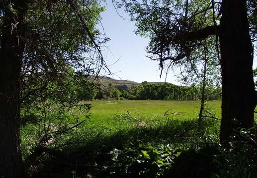 It also has approximately 250 acres in