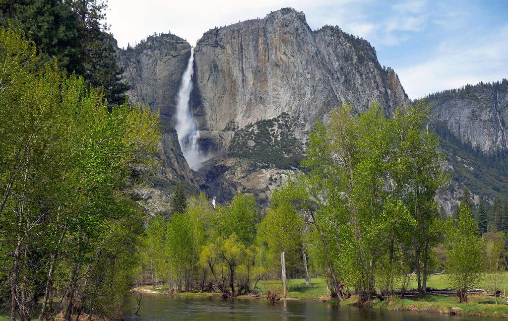 Yosemite Valley We scheduled our 2019 projects in Yosemite Valley so that our volunteers would be able to enjoy the Valley at its best.