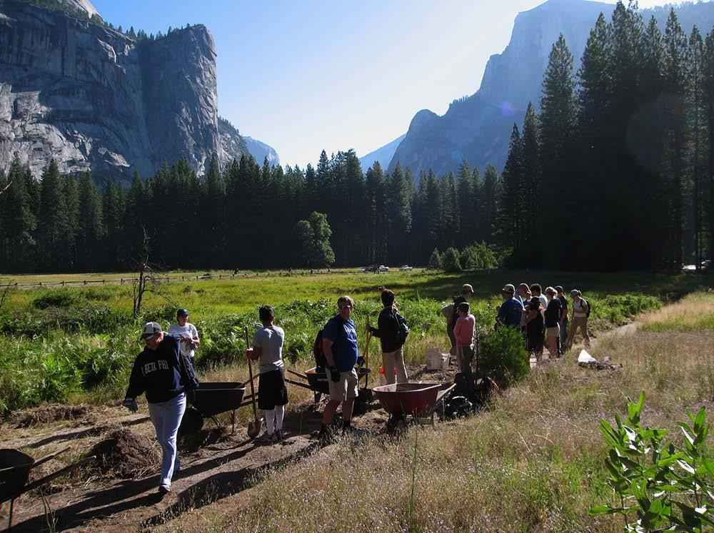 COMBINATION Work Weeks: Yosemite Valley Vegetation Work and Climber Trail Rehabilitation, October 6-12 and October 13-19 These Combination Work Weeks will allow volunteers a chance to work on two