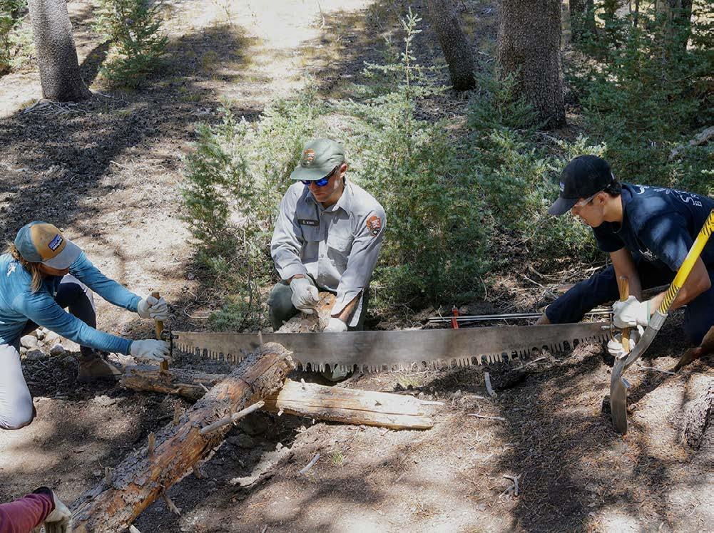 Tioga Trails Yosemite Creek Campground, July 7-July 13, July 21-July 27 Porcupine Flat Campground, August 11-17 These projects are new for 2019, both in their locations and in the nature of the work.
