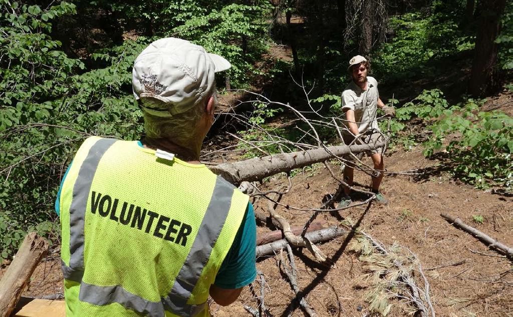 To make access to our work site efficient the group will camp at the off-the-beaten-path Yosemite Creek Campground and Porcupine Flat Campground.