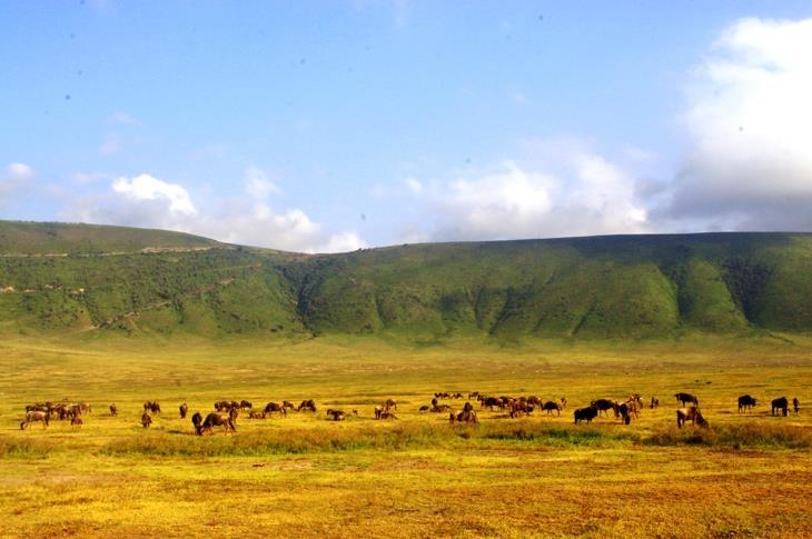 Day 5: Ngorongoro Crater With an area of 264 km and a depth of 610 meters, the Ngorongoro Crater is one of the largest unbroken calderas in the world that isn t a lake.