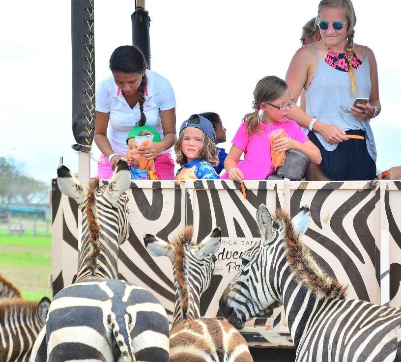 AFRICA SAFARI ADVENTURE PARK Enjoy the best of both worlds as you venture through a little part of Africa, right in the heart of Costa Rica s West Coast.