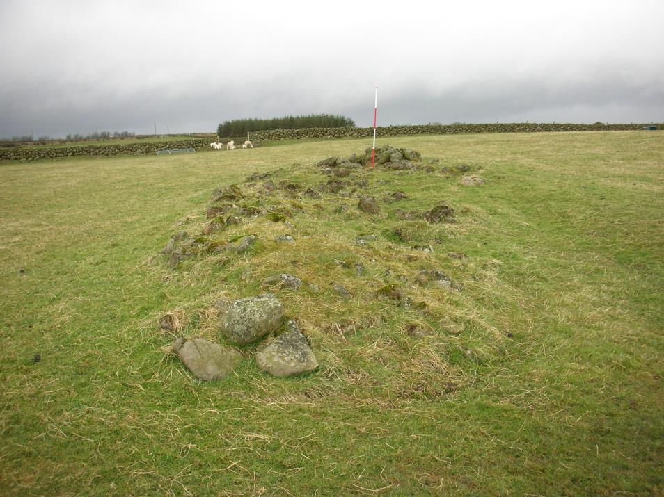 13 NISMR Townland Site type IG Reference Number ANT 060:015 Altigarron/Divis Burial Cairn (Yellow Jack s) J 2690 7560 ANT 060:072 Black Mountain Neolithic flint working site J 2914 7452 ANT 060:075
