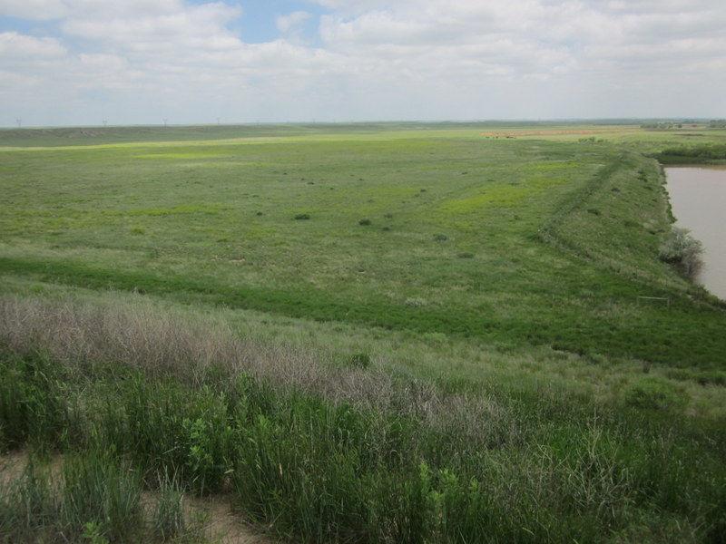 Attachment A B2 Dam Site Photographs Photo 3: Disturbed grasslands
