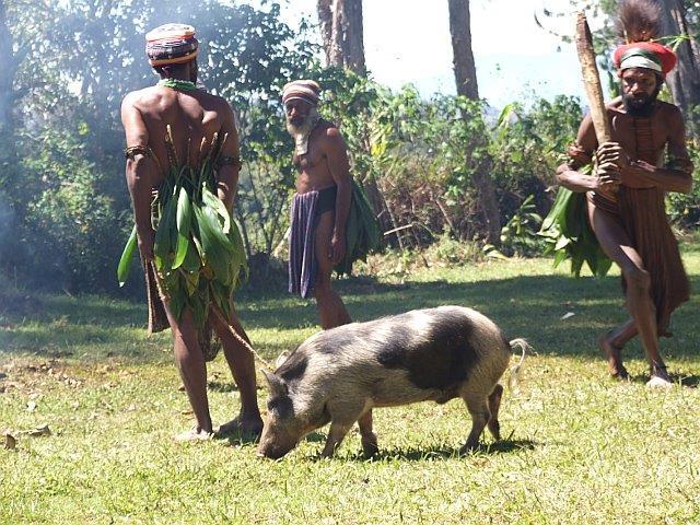 (vegetables, pigs, chickens) - handicrafts market (woven bilum bags are the best buy) - Goroka coffee factory - scenic drive out a rural road if time