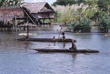 Transfer to a waiting motor canoe and travel downstream 1 hour to Korogo, the first Yatmul tribe crocodile cult village.