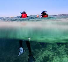 You ll receive professional instruction, learning the fundamentals of underwater photography, sea kayaking, snorkeling, and