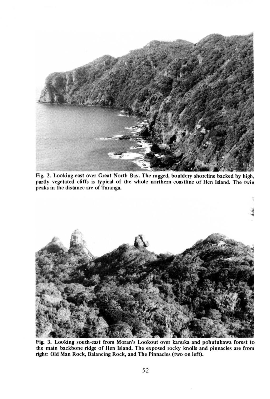 Fig. 2. Looking east over Great North Bay. The rugged, bouldery shoreline backed by high, partly vegetated cliffs is typical of the whole northern coastline of Hen Island.
