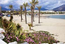 Upon returning to Spain, we will stop in Puerto Banus: the most famous port of Costa del Sol for the amount of leisure offers, restaurants, bars, shops of the most prestigious brands and luxury