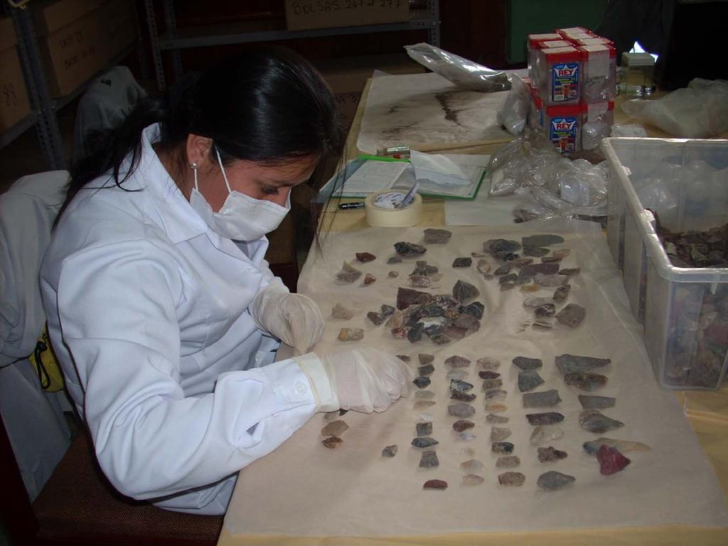 Analysis of lithics recovered during