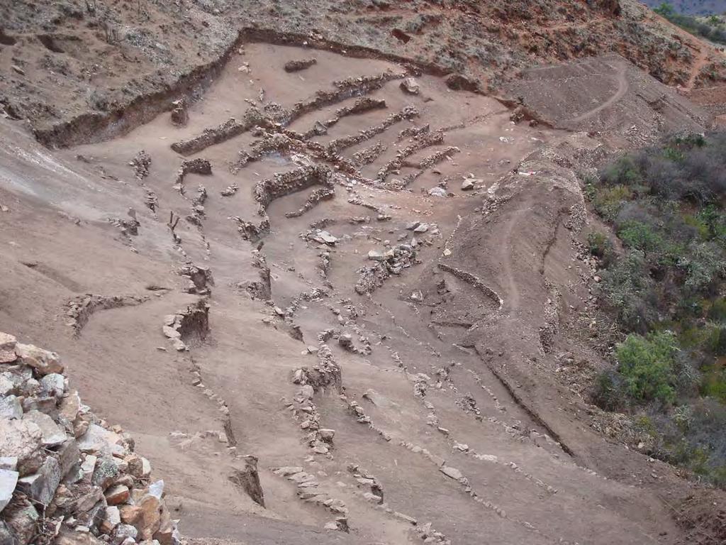 Excavated agricultural terraces