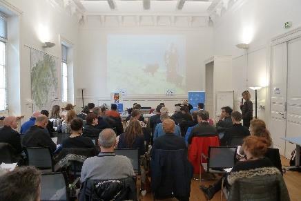 Pastoralism What does Euromontana do? -Organise an internal workshop: Which future for pastoralism in Europe?