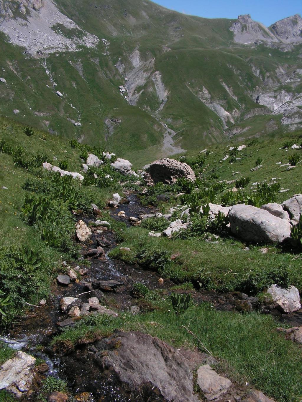 High mountain brook on the Albanian side of the