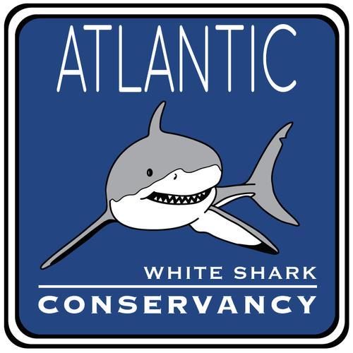 Proposal Seeking $14,700 for Drone-Based Great White Shark Spotting Program on Nauset Light Beach Submitted on Behalf of Atlantic White Shark