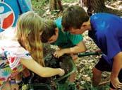 Become a Woodlander this summer, and discover adventure in the Harris Center woods and beyond.
