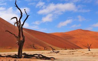 Sesriem Canyon and Namib-Naukluft National Park, where the mountains of the Namib meet its plains.