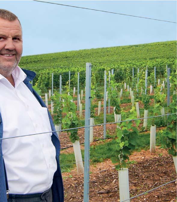 As the leading supplier of vineyard poles, we have always relied with the evidence backed up a million times over on our tried-and-tested Galfan coating that is considerably more resistant to