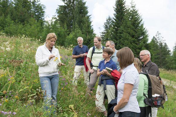 Example of Good PracIce Allgäu guided tour herbal garden workshops Source: www.