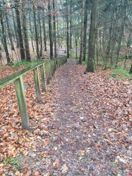 Access to the upper path of the woodland is through a wooden gate 1.2 metres wide.