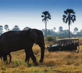 EXPECT THE EXTRAORDINARY Superior Explorer Expedition 8 nights / 9 days Departure dates: May - December Chobe National