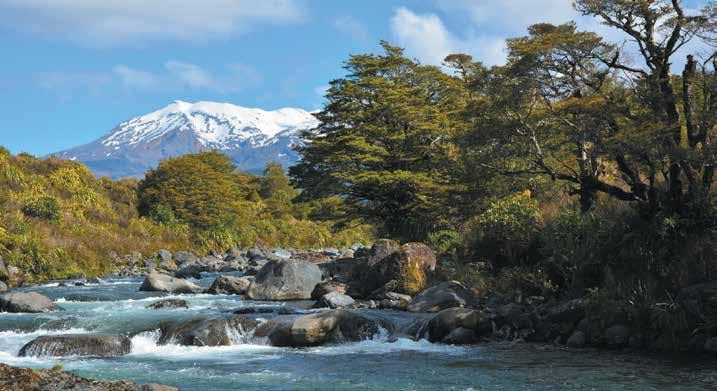 Lake Taupo & Mt Ruapehu Located in the heart of the North Island, Lake Taupo is undoubtedly one of the world's most beautiful and magical places.