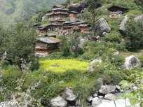 The village also offers distant views of the Dauladar Mountain Range, we continue through the open meadows and pine forest to another village with lovely houses, and then descend through the valley