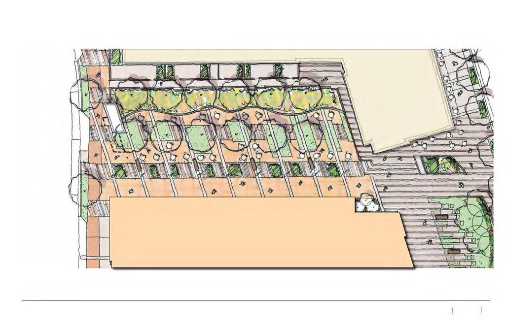 Current Landscape: Detailed Courtyard Plan MARYMOUNT