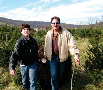 Varieties: Choose-and-cut from 00 acres of Blue Spruce, Concolor Fir, Douglas Fir, Norway Spruce, Scotch Pine, Southwestern White Pine, White Pine, White Spruce.