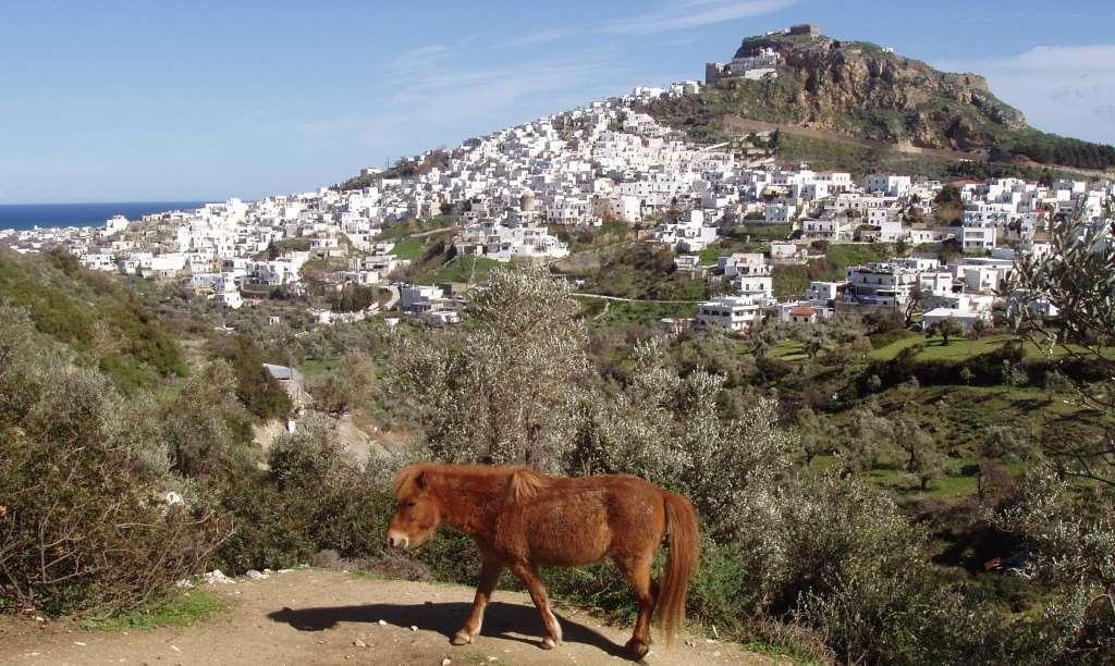 ❷ Quality of Place: Skyros Southern Skyros has been for centuries the natural habitat of the indigenous breed of Skyros horses (Equus cabalus skyriano), unique in the world today, considered to be