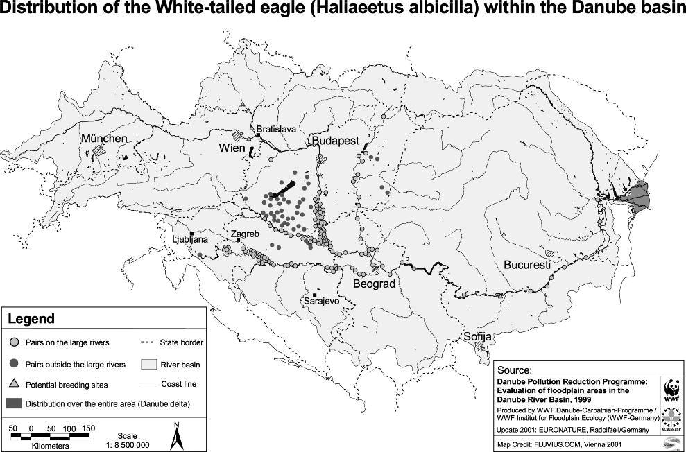 Figure 2. Distribution of the White-tailed Eagle within the Danube River Basin.