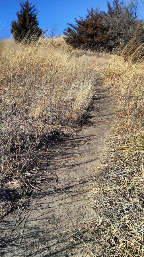 Figure 4. Livestock trail firebreaks are narrow and can be easily crossed by fire. Figure 6.