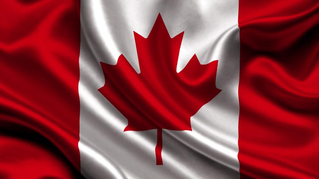 If you happen to have a Canadian flag or can acquire one for a reasonable amount of money, that would be great too. Just make sure you have something to mount it on to wave it around.