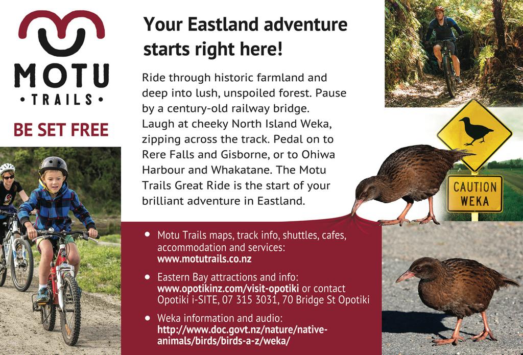 Keep your eyes peeled as it s common to spot native birds in this area. The 49ha Whinray Scenic Reserve is a beautiful area of native forest and waterfalls that is accessible from Motu Falls Rd.