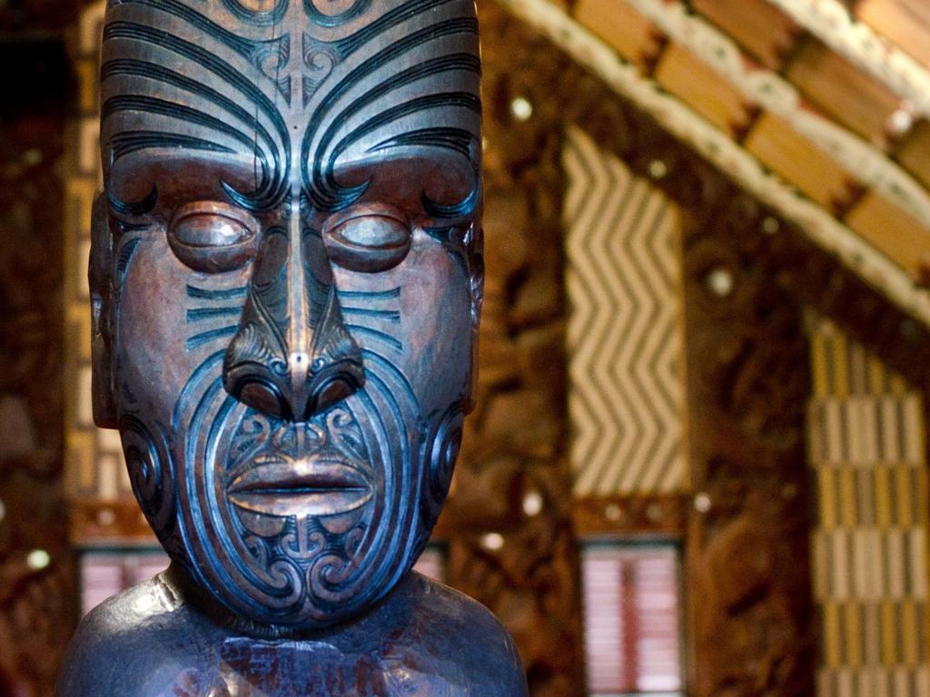 Christchurch Endemic Kiwi bird Maori cultural