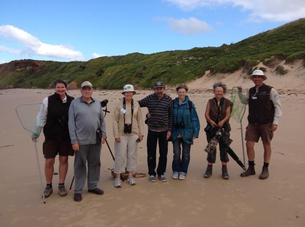 Hooded Plover Watch volunteers have again been fantastic, mainly at Red Rocks and Surf Beach and there has been very good cooperation with BCSC to coordinate nest protection measures, including joint