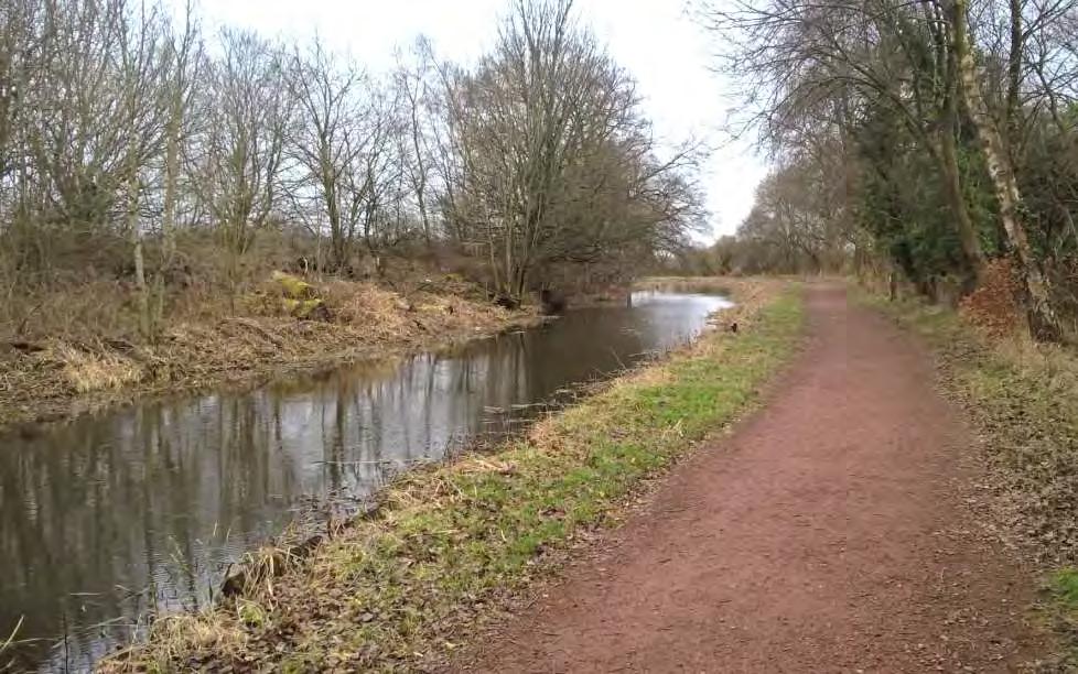 Monkland Canal (Forth & Clyde West Team) Both open sections of canal have been worked on but the section between Woodhall intake sluices and Cairnhill
