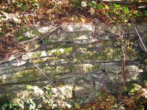 Stone slabs are hidden under dense vegetation and appear to be old walls. Foto G.Lukacs There have been made no academic or scientific studies of the Montevecchia hills so far.