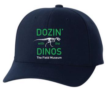 Make sure you get your hand stamped by a Dozin with the Dinos staff person in order to be let back into The Museum after loading up your gear into your car (or putting it in coat check if you took
