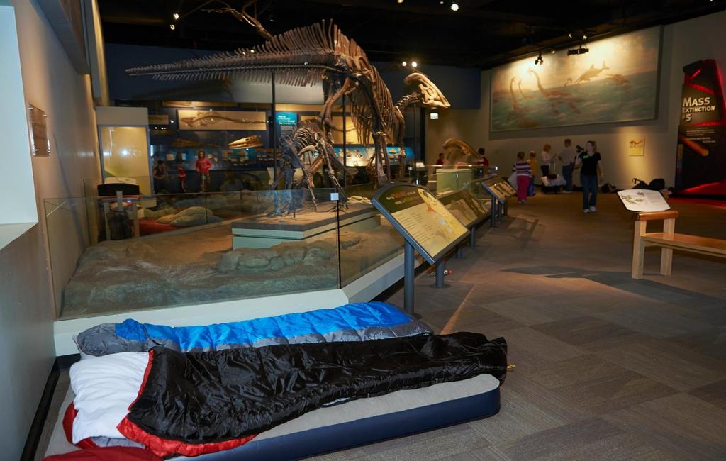 o Encouraging your group to place their sleep gear in the assigned exhibit and to set up their sleep gear after snack. Be sure to leave a 3-foot walkway whenever possible.