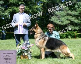 DOGS AMERICAN BRED DOGS 89 Abs Carmars Jameson of Bill-Mar DN29757405 DOB 12-10-10 Breeder: Mark Charbonneau and Mary Ellen Loizides By: CH.