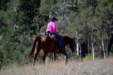 We'll split into groups based on experience; nose-to-tail rides are minimized and loping rides are available for those who are interested.