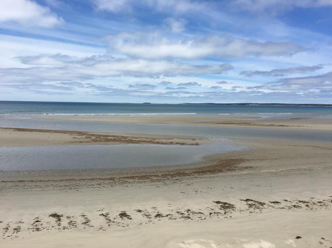 about Clam Harbour Beach
