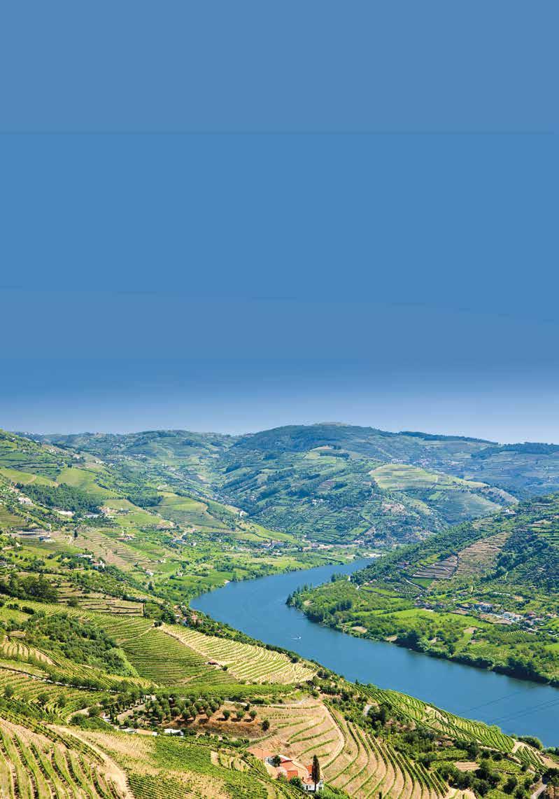 Join us aboard the charming MS Douro Prince for our exploration of the Douro River.