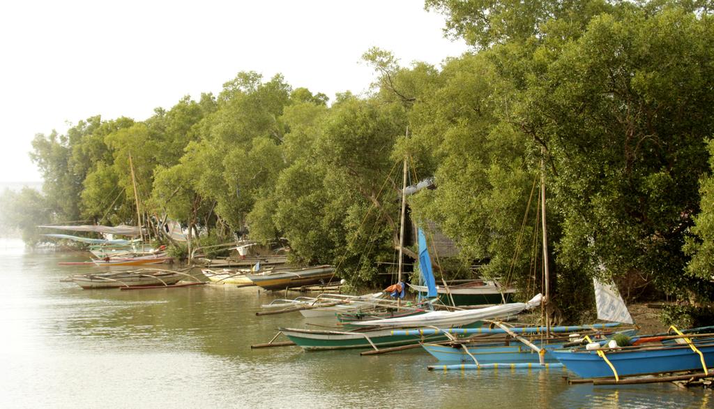 ICM Solutions Toward Ecotourism Development in Basyaw Cove, Guimaras, Philippines: Planning and Management by a People s Organization in Cooperation with Development Partners With the