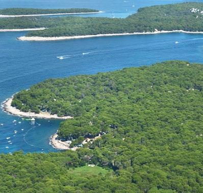 UNIQUE CLIMATE OF THE ISLAND OF LOŠINJ sun - the source of life 250 000 trees At the end of the 19th century, in Čikat, more than 250,000 saplings of Aleppo pine, juniper and cypress were planted.