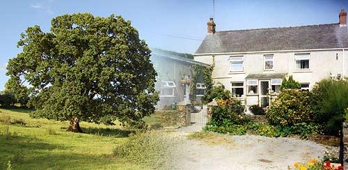 Guests may stay in the farmhouse, or a self catering cottage and mobile home.